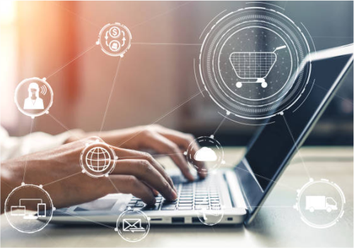 Website Development & Management